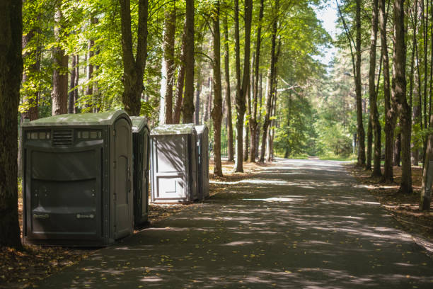 Portable Toilet Options We Offer in Romney, WV
